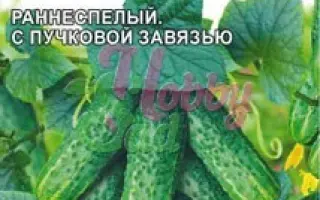 Mila F1 / Мила F1