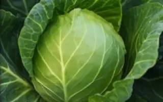 Одисей / Одісей