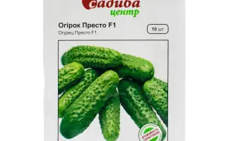 Presto F1 / Престо F1