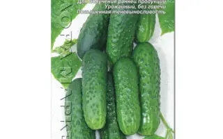 Тепличный 40 F1 / Тепличний 40 F1