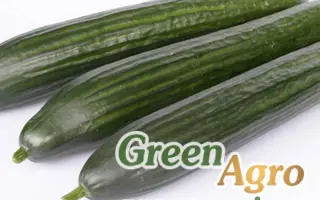 Toploader / Топлоадер