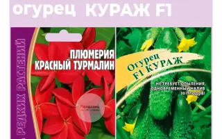 Turmalin / Турмалін