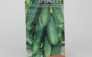 Farbio / Фарбіо