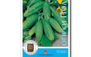 Chrobry F1 / Хробри F1