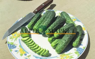 Allianz / Альянс