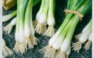 Bajkal / Байкал