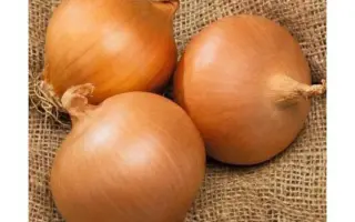 Augusta / Августа