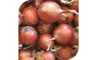 ALMANZORO / АЛМАНЗОРО