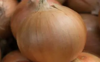 BARUSO / БАРУСО