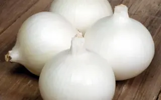 Bello Blanco / Белло Бланко