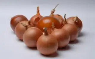 Bereket / Берекет