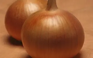 Bonus F1 / Бонус F1