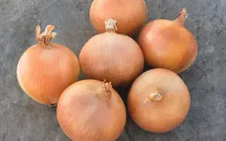 Braxton / Брекстон