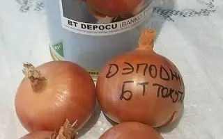 BT DEPOCU / БТ ДЕПОДЖУ