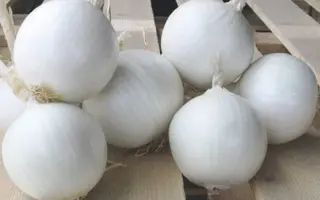 White Majestic / Вайт Маджестик