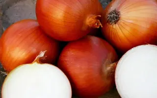 Valero / Валеро