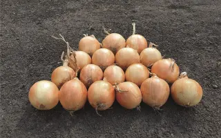 Venecia / Венеція