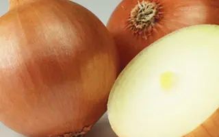 VISION / ВІСІОН