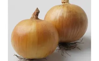 Wolf F1 / Вольф F1