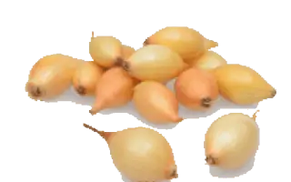 Goblin / Гоблін