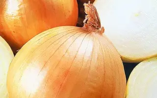 Гранд Еталон