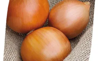 Zambezi / Замбезі