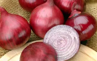 Karmen / Кармен