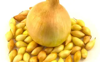 Contado / Контадо