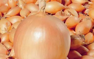 Coreon 1 / Кореон 1