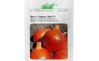 Copper Ball F1 / Копер Бол F1