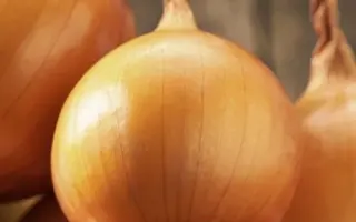 Crusado / Крусадо