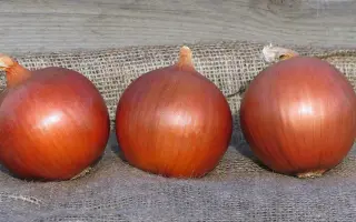 Legend / Ледженд