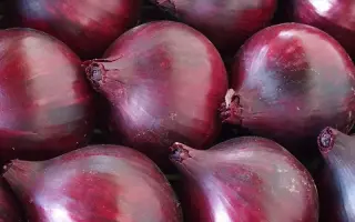 Magnate / Магнат