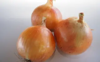 Minister / Міністер