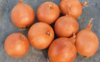 Mondella / Монделла