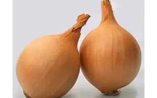 Montana / Монтана