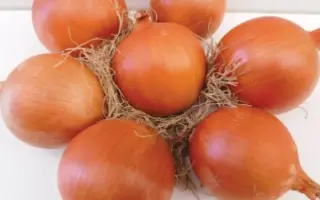 Oloroso / Олоросо