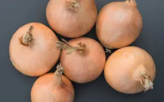 Orlenda / Орленда