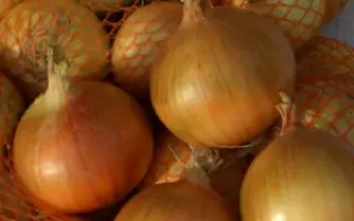 Panther / Пантер