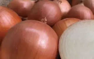 PX 07713119 / ПХ 07713119