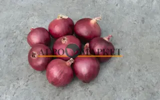 Red Bull F1 / Ред Булл F1