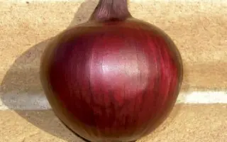 Red Mech / Ред Меч