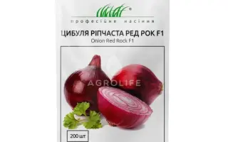 Red Rock / Ред Рок