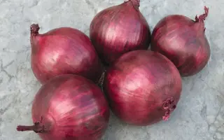 Red Rum F1 / Ред Рум F1