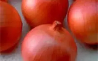 Red Spring / Ред Спрінг