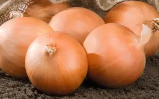 Rawhide / Роухайд