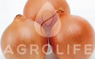 Sandra / Сандра