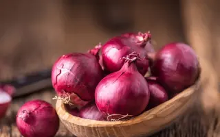 Skarlet / Скарлет