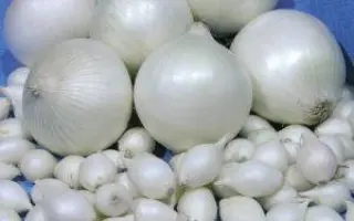 Snowpack / Сноупек