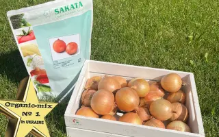 Spanish Medallion / Спеніш Медальйон